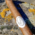 Davidoff